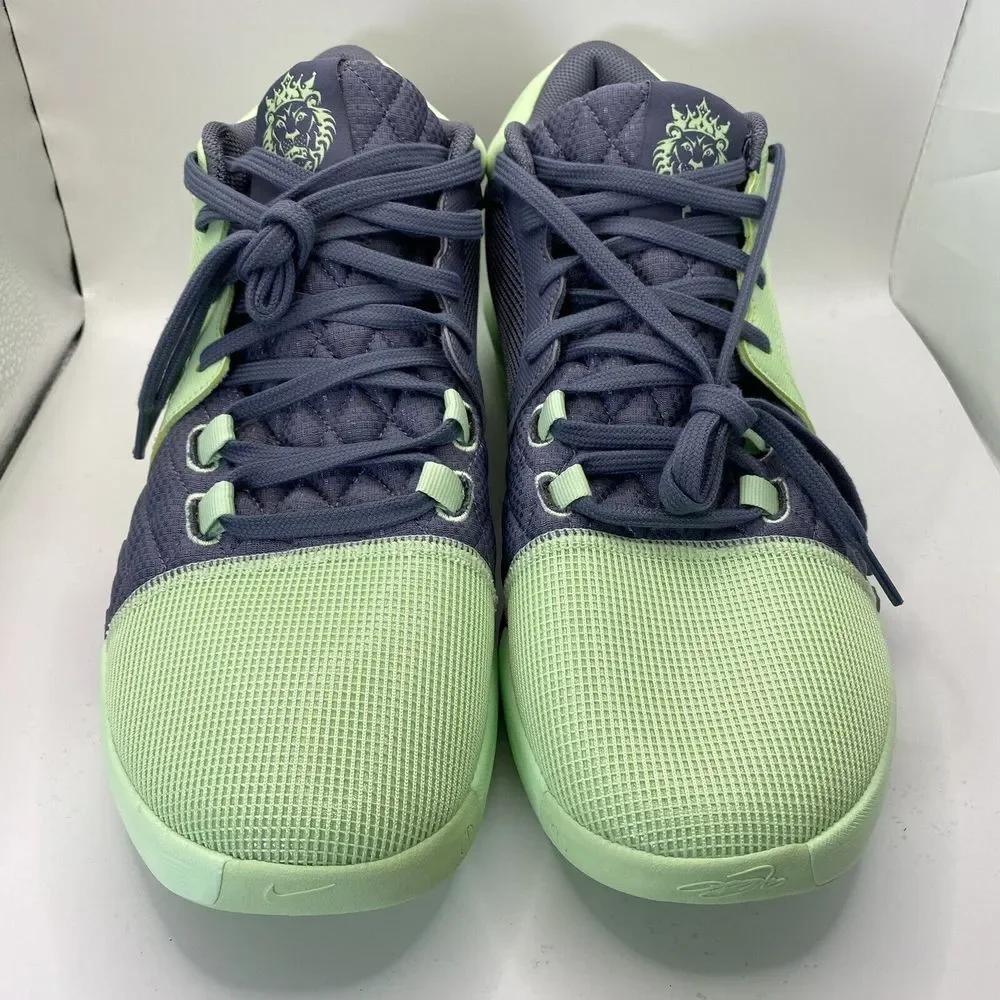 New Nike Lebron Witness 8 Basketball Vapor Green White Carbon SZ 12.5 FB2239 300